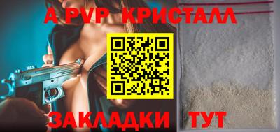 стафф Кингисепп