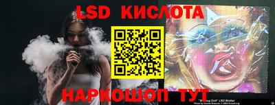 стафф Кингисепп