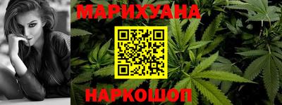 стафф Кингисепп