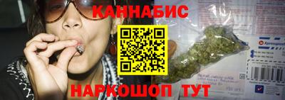 стафф Кингисепп