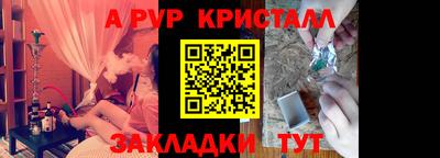 стафф Кингисепп