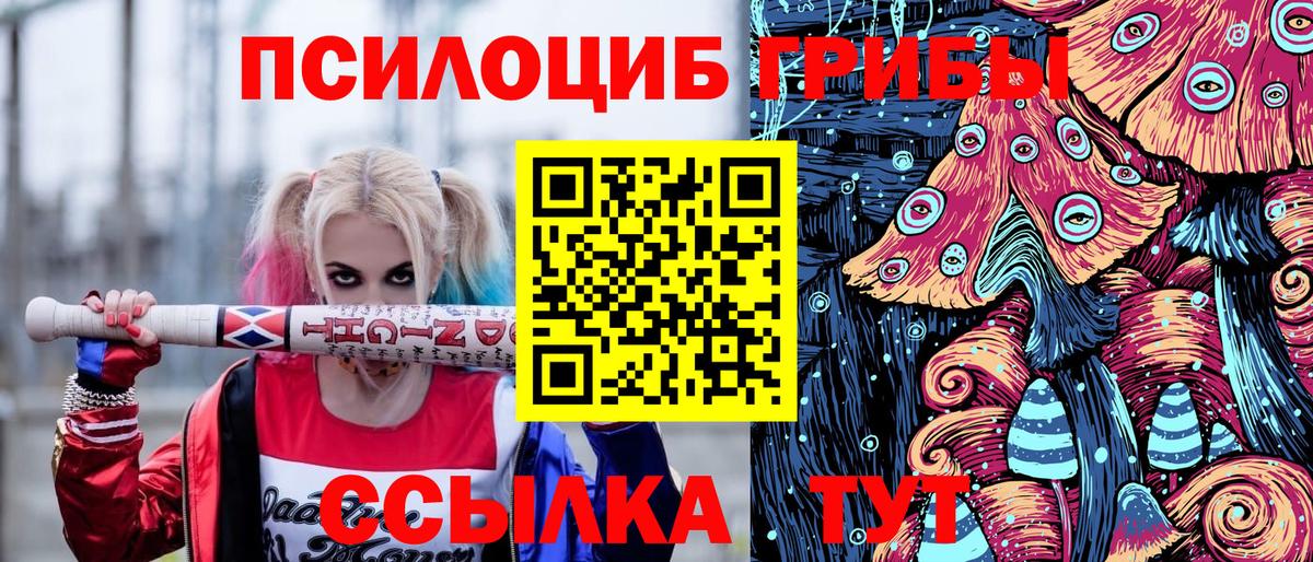 Галлюциногенные грибы Cubensis Краснокамск