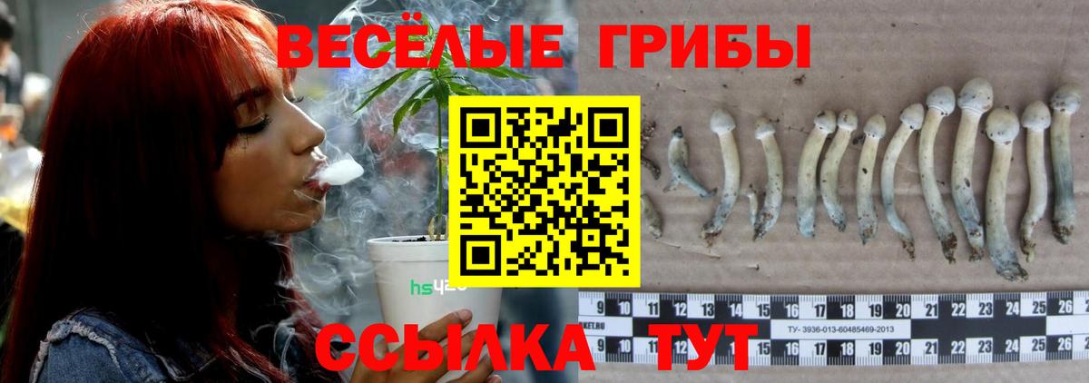 Галлюциногенные грибы Psilocybe  Галлюциногенные грибы прущие грибы  Краснокамск  Вход с VPN 
